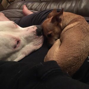 Meet your Posher, Charity